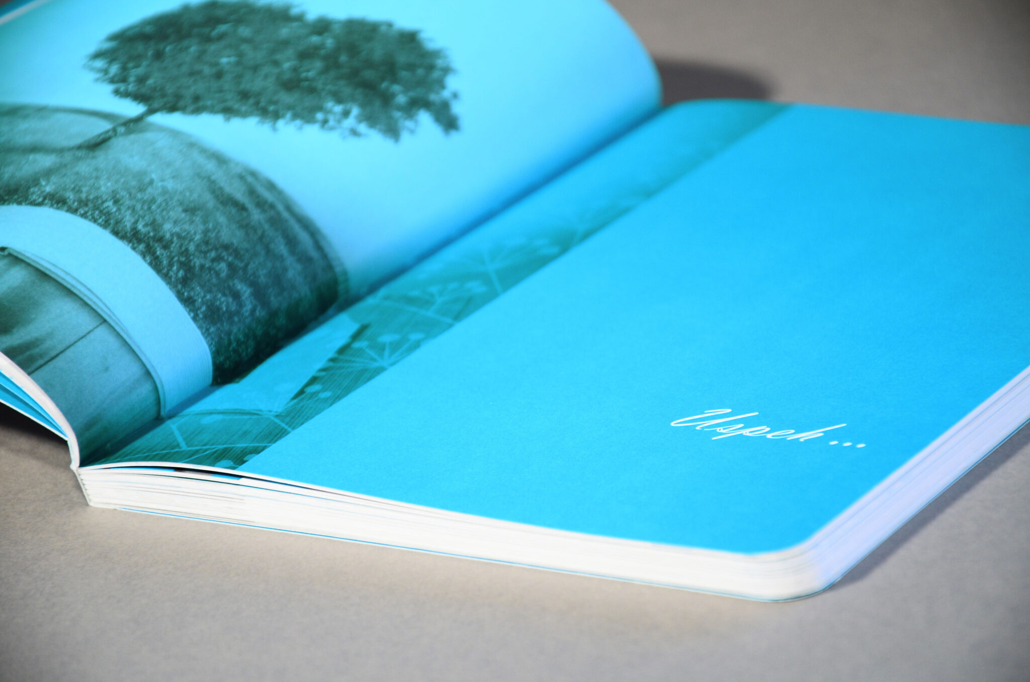 mixer.si srečna knjiga