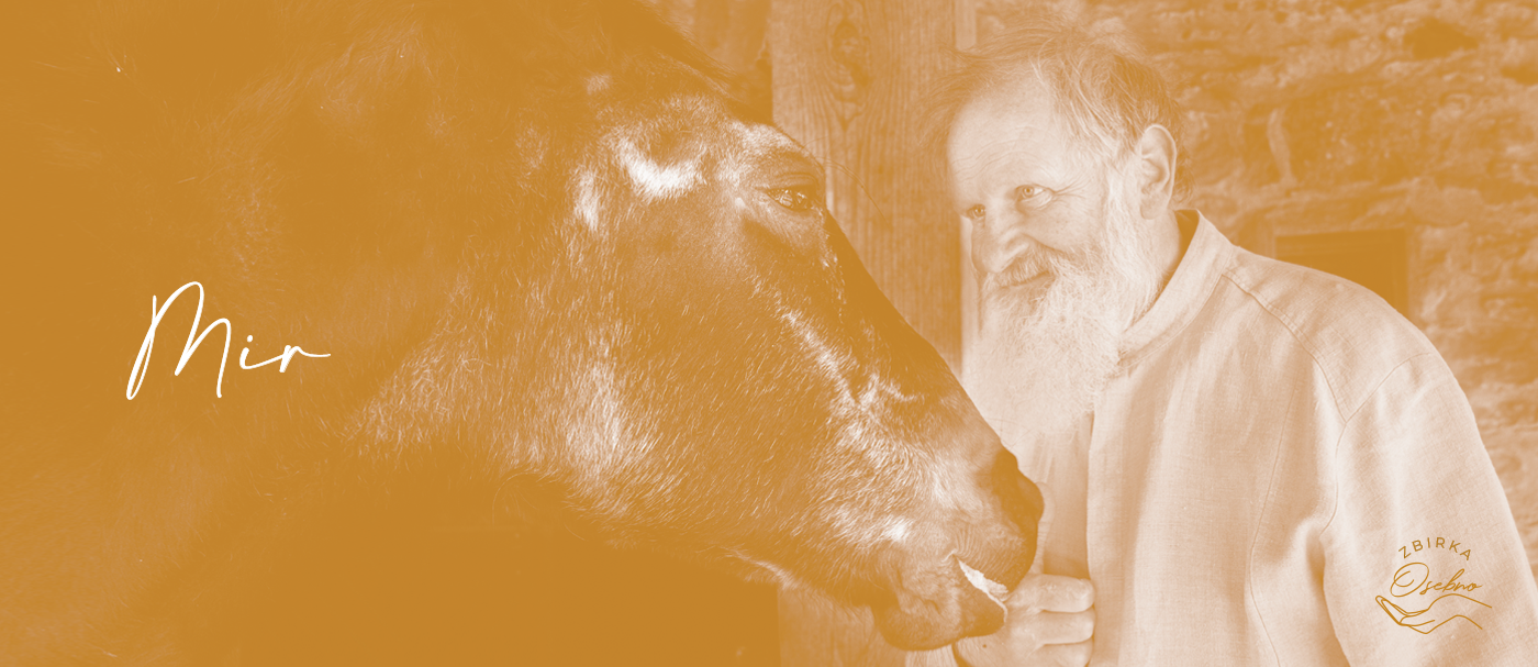 mixer.si projekt chiara zbirka osebno