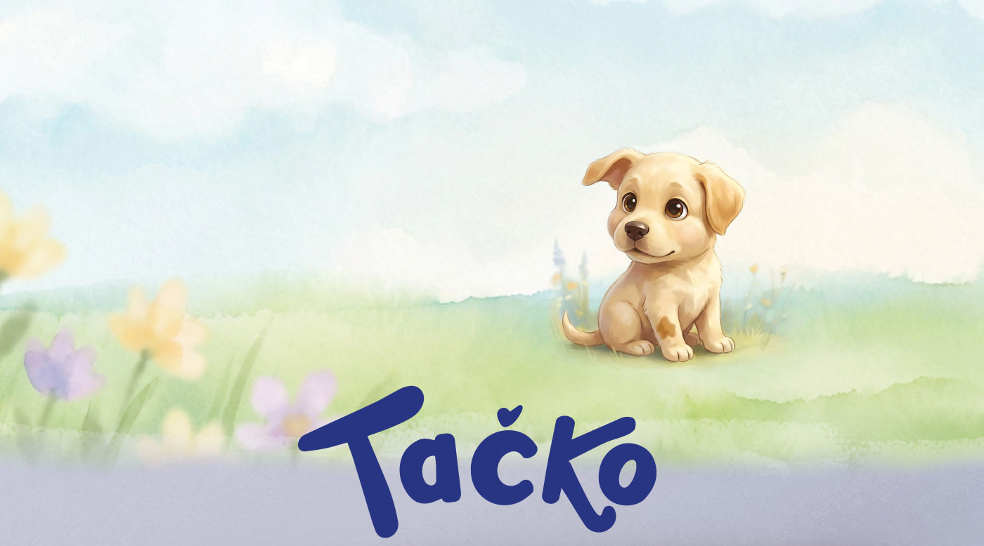 mixer.si projekt tačko